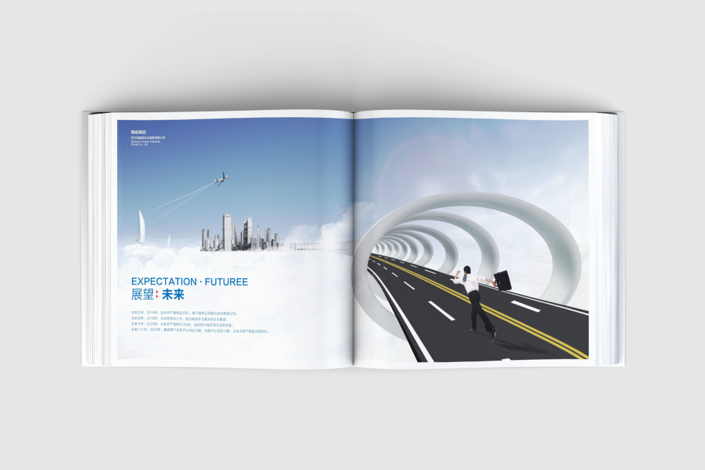 尼勒克县画册设计